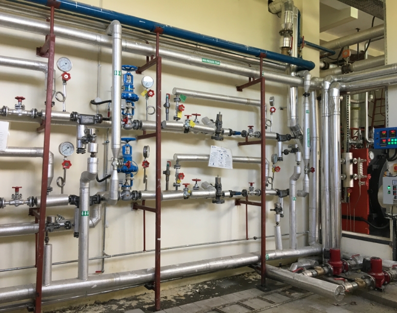 steamDistribution
